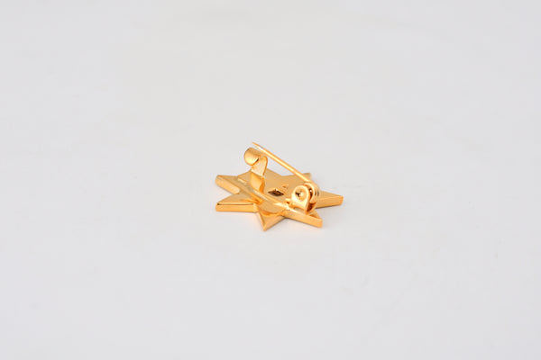 Gold Plated Jordan Star 3D Brooch